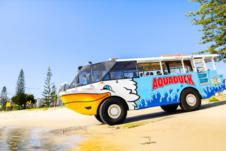 Gold Coast: Sightseeing Tours