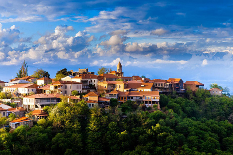 From Tbilisi: Kakheti Day Trip with Wine Tasting