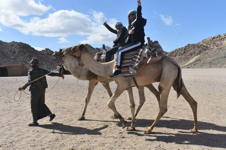 Hurghada Camel Riding Tour with Optional Sunrise & Breakfast Hurghada Camel Riding Tour with Optional Sunrise & Breakfast
