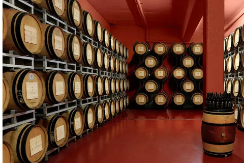 Arezzo Experience: Winery Tour and Wine Tasting