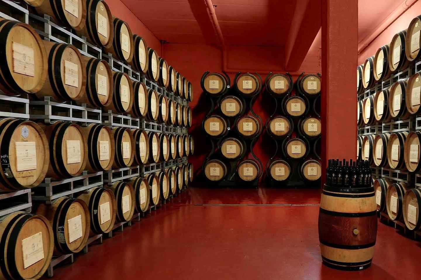 Arezzo Experience: Winery Tour and Wine Tasting