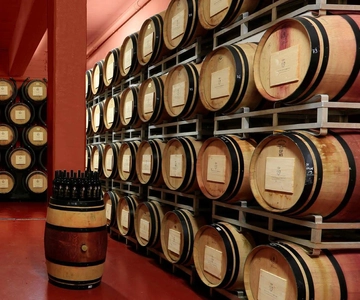 Experiência Arezzo: Visita à adega e prova de vinhos
