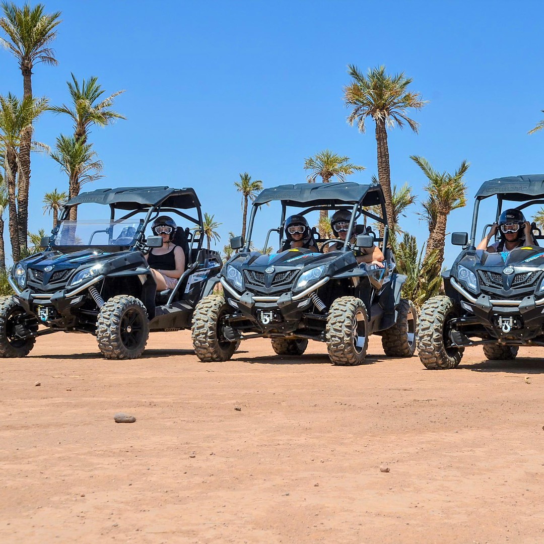 Marrakech:Attività Quad/Buggy/Camoscio al palmeto