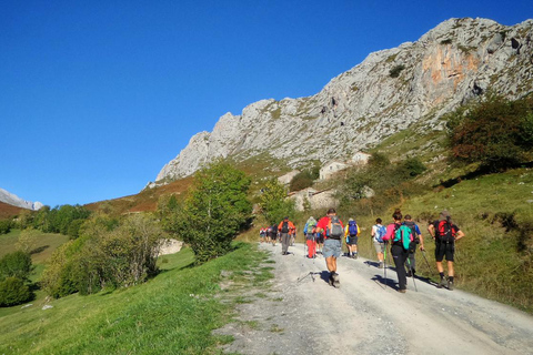 Kazbegi: Wycieczka z przewodnikiem do wodospadu Gveleti