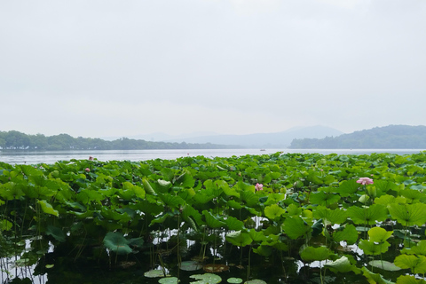 جولة خاصة شاملة كلياً في أبرز معالم مدينة شنغهايAll Inclusive Tour