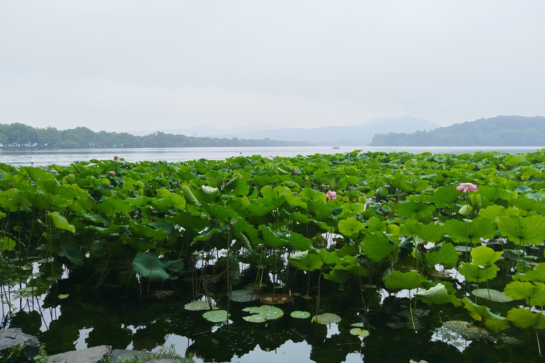 جولة خاصة شاملة كلياً في أبرز معالم مدينة شنغهايAll Inclusive Tour