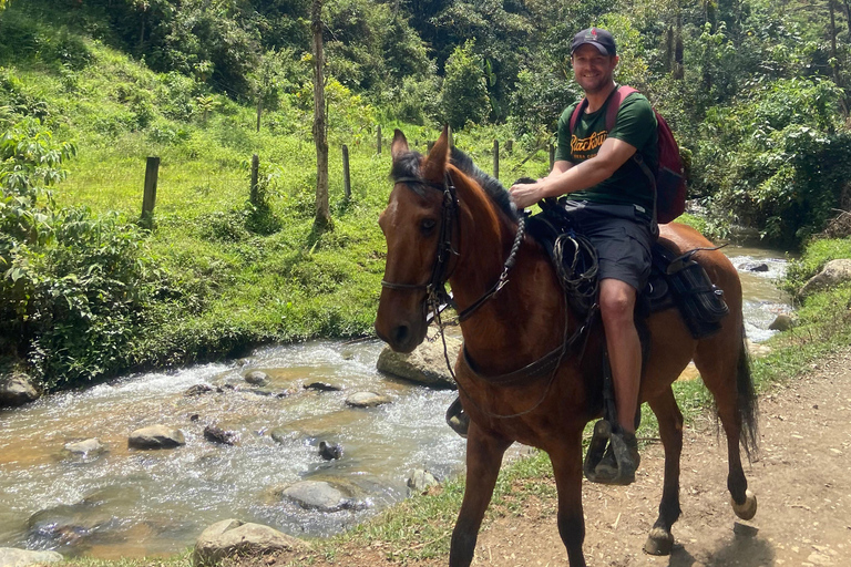 Medellín : excursion à cheval à Caldas avec boissonsMedellín : excursion équestre à Caldas avec boissons