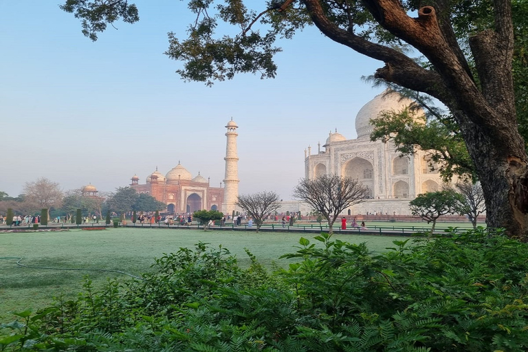 From Agra: Visit Taj Mahal in less time by gatiman train Tour with knowledgeable local tourist guide only.