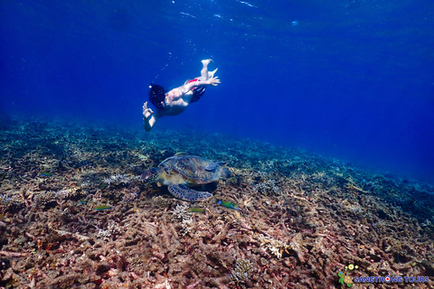 Koh Tao: Excursão de um dia com mergulho com snorkel nas ilhas e almoçoKoh Tao: Ilhas Snorkeling Destaques Day Tour &amp; Almoço