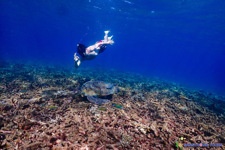 Koh Tao: Excursão de um dia com mergulho com snorkel nas ilhas e almoçoKoh Tao: Ilhas Snorkeling Destaques Day Tour &amp; Almoço