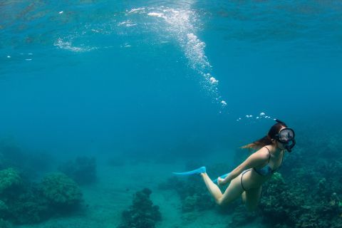 From Lahaina: Maui Nui Snorkeling with Breakfast and Lunch