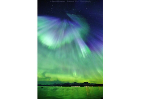 Tromsö: Nordlicht-Verfolgungsjagd im großen Bus mit kostenlosen Fotos