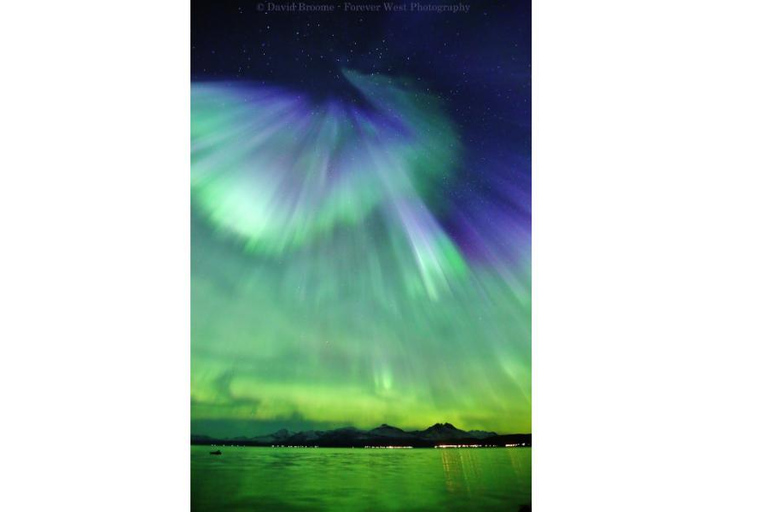 Tromso: Northern Lights Big Bus Chase with Free Photos