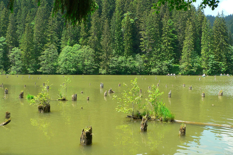 Brasov: Saint Ana Lake & Red Lake Tour