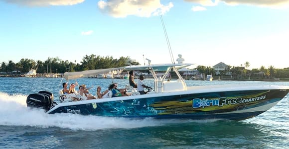 Nassau: Swimming Pigs, Snorkel and Lunch by Speed Boat