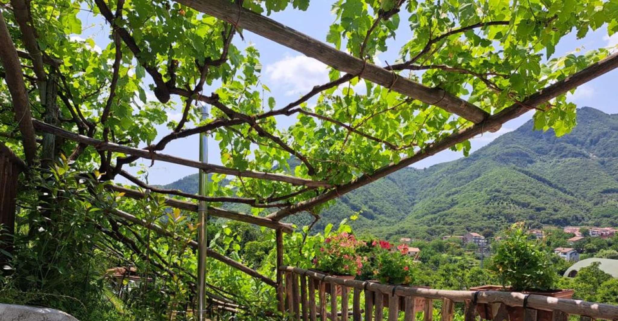 Tramonti, Wellness and Nature - Housity