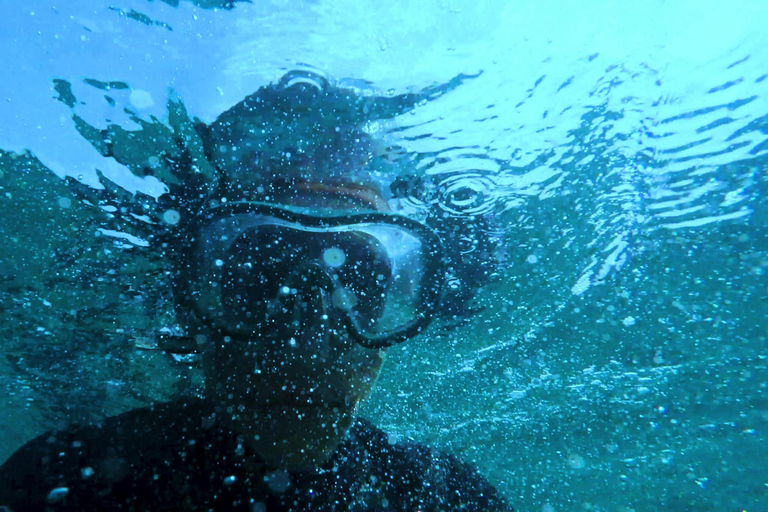 Mombasa : Excursion à la rencontre des dauphins de Wasini