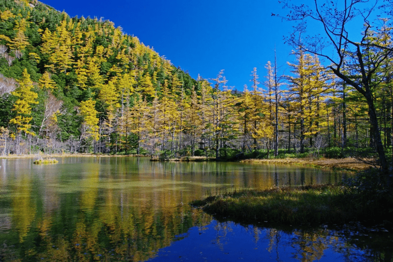 Kamikochi Private Hiking Trip from Tokyo, Nagoya & More From Nagoya: 1-Day Private Trip with Guide