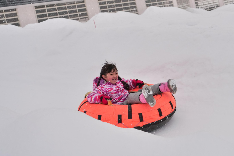 Nagoya: Gujo Hachiman, Snow Park, & Onsen Day Trip