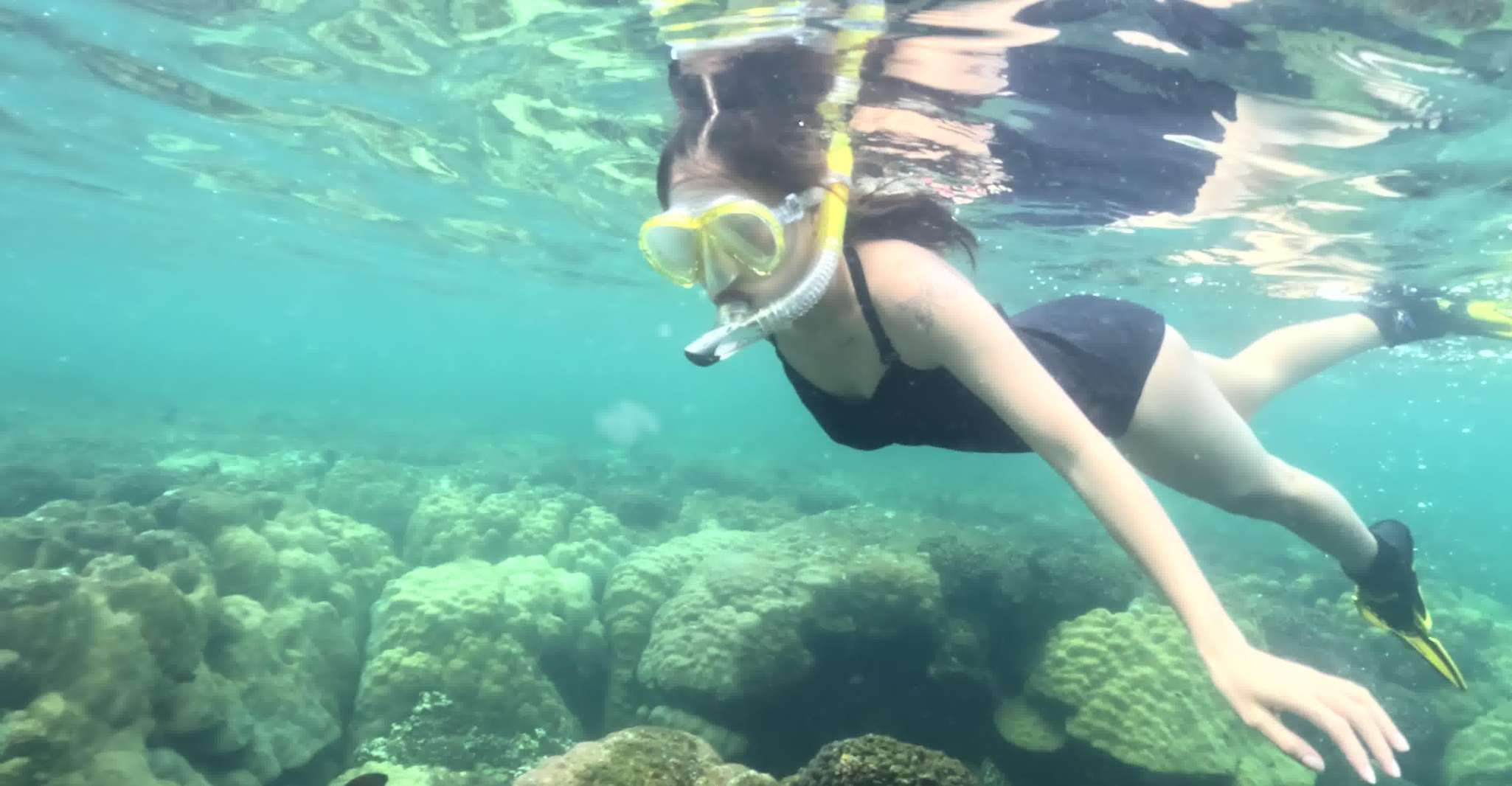 Phu Quoc, Snorkeling Descubre los arrecifes de coral del sur - Hizvo