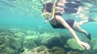 Phu Quoc, Snorkeling Scopri le barriere coralline meridionali - Hizvo