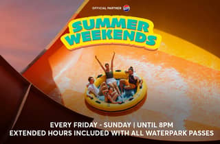 Dubai: Tagespass für den Atlantis Aquaventure World Waterpark