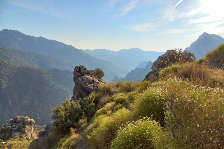 ⭐ Excursión al atardecer y cumbre de Sierra Nevada con cachorro ⭐⭐ Excursión al atardecer y cumbre de Sierra Nevada Excursión privada con cachorro ⭐