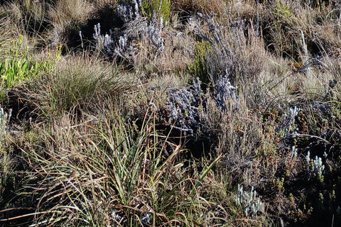 Arusha: itinerario di 9 giorni del Circuito Nord del Kilimangiaro