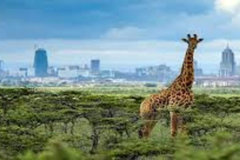 5 Hour - Tour Nairobi National Park Or Evening Game Drive