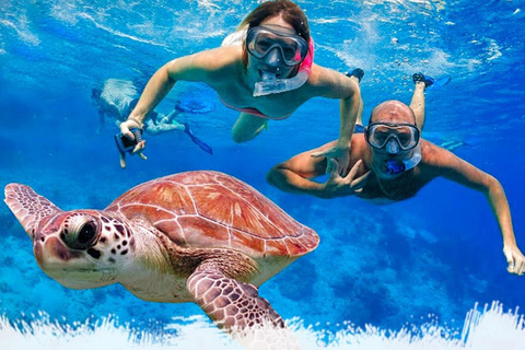 Amazing experience: Snorkeling with Turtles in Mirissa