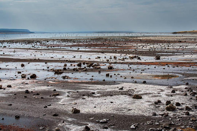 Nairobi: Lake Magadi 2-Day Safari with Hike & Hot Springs