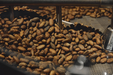 Milan: Enrico Rizzi Chocolate Factory Tour with tasting Chocolate Experience with Grand Cru Exclusive tasting