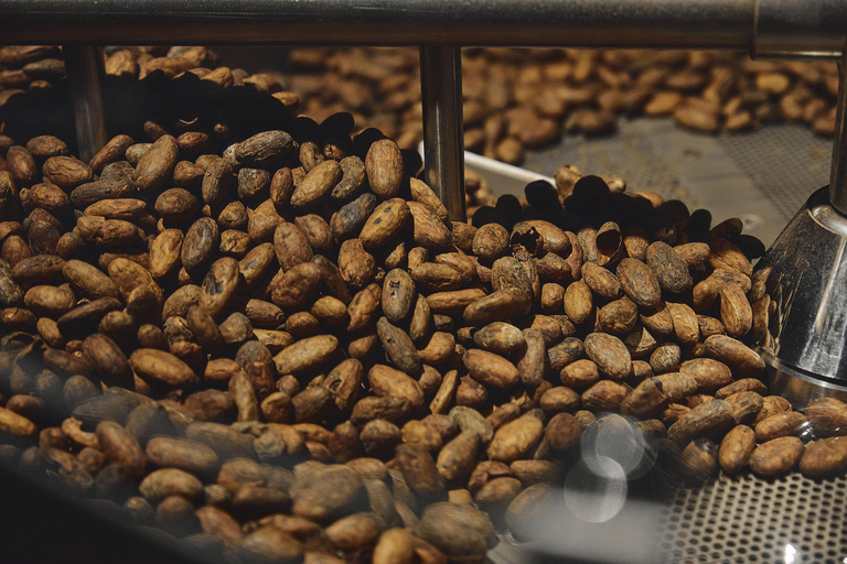 Milan: Enrico Rizzi Chocolate Factory Tour with tasting Chocolate Experience with Grand Cru Exclusive tasting