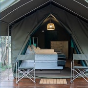 2 Tage Kruger Glamping Budget Abenteuer