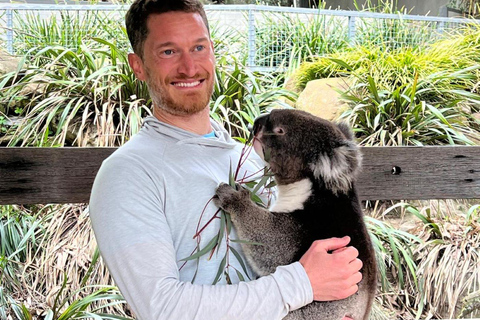 Vanuit Adelaide: Knuffel een Koala en historische Hahndorf Tour