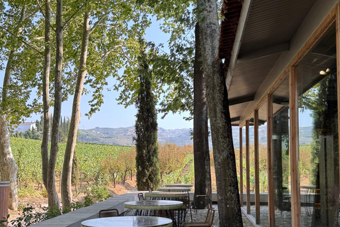 Porto: Douro Valley Train Tour, Cruise, Wine & Lunch