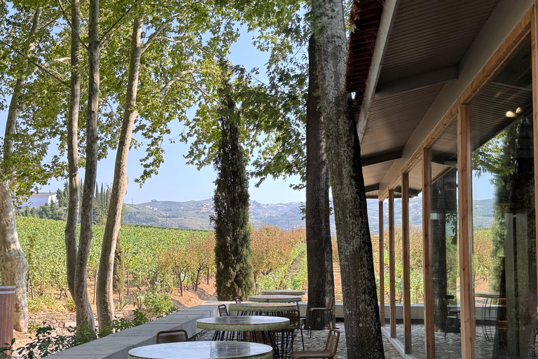 Porto: Douro Valley Train Tour, Cruise, Wine & Lunch