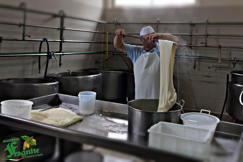 Puglia: Mozzarella Experience at an Apulian Farm Mozzarella Experience in English