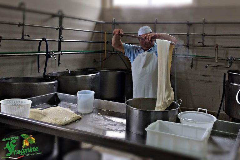 Puglia: Mozzarella Experience at an Apulian Farm Mozzarella Experience in English