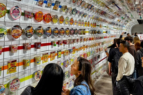 Osaka: Explore Cultural Gems with Pickup & Private Guide