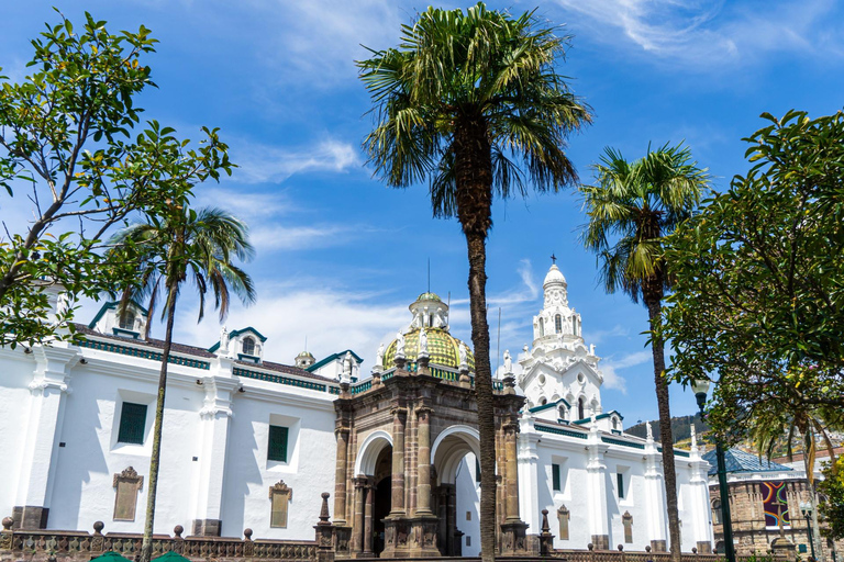 Quito: Skip-the-Line Museo de la Ciudad Private Tour