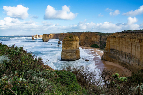 Vanuit Melbourne: Great Ocean Road-dagtrip in omgekeerde richting met lunch