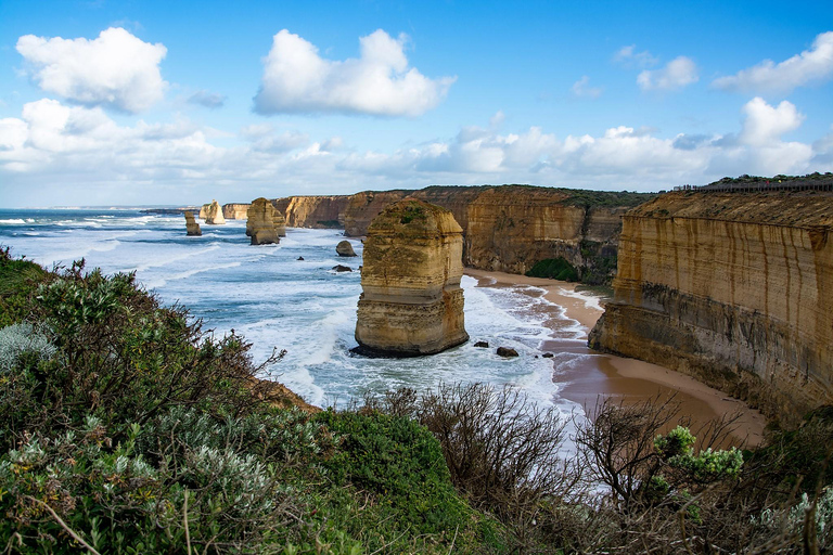 From Melbourne: Reverse Great Ocean Road Day Trip with Lunch