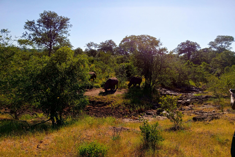 Mosi Oa Tunya Game drive