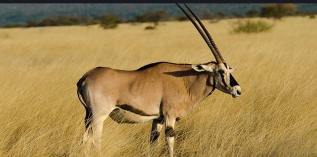 Addis Ababa: 3-Day Rift Valley Lakes Tour with Guide