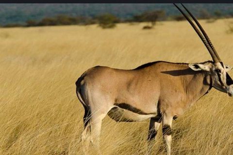 Addis Abeba: 3-tägige Tour zu den Seen des Rift Valley mit Guide