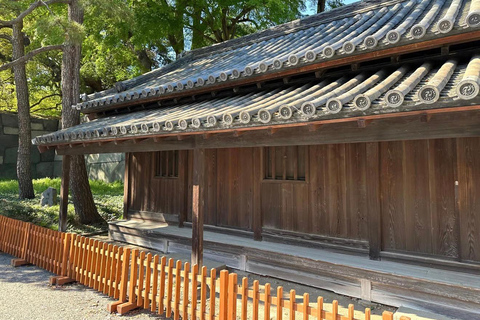 Tokyo Full-Day Private Tour with English-Speaking Guide