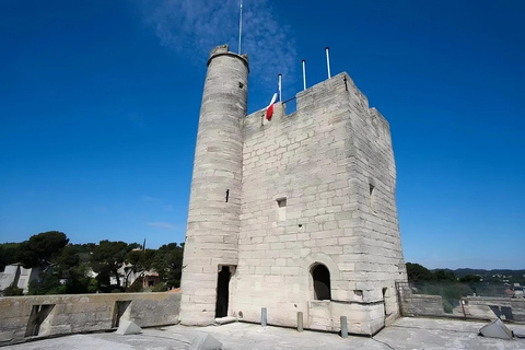 Avignon City Pass: Sightseeing in Avignon and Villeneuve Lez Avignon Avignon City Pass 24H