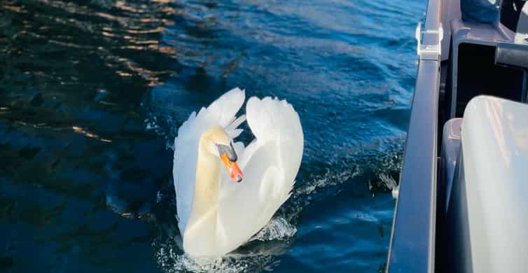 Austin: Lake Austin Scenic Guided Boat Tour - Full Sun Shade photo 20