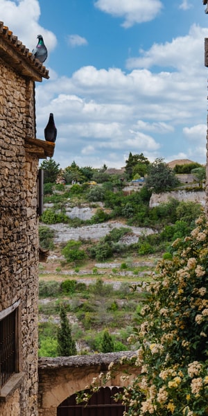 From Avignon, Best of Luberon in an Afternoon - Housity